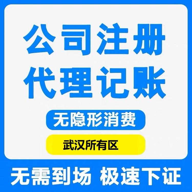 武漢工商執(zhí)照代辦及正規(guī)代賬服務全方位指南